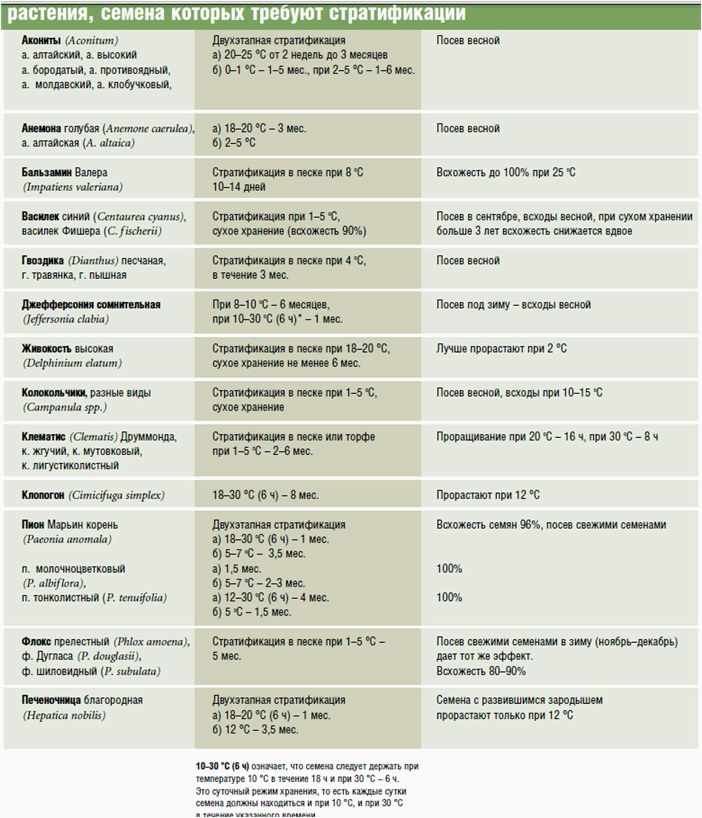 Зачем нужна стратификация, скарификация и промораживание семян? Какие растения в этом нуждаются?