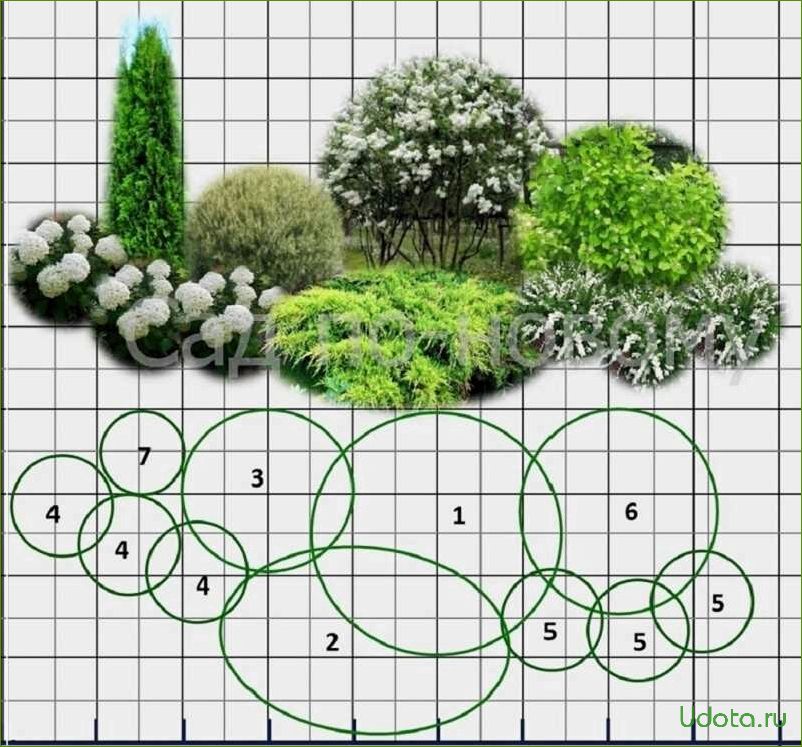6 важных правил составления композиции в цветнике