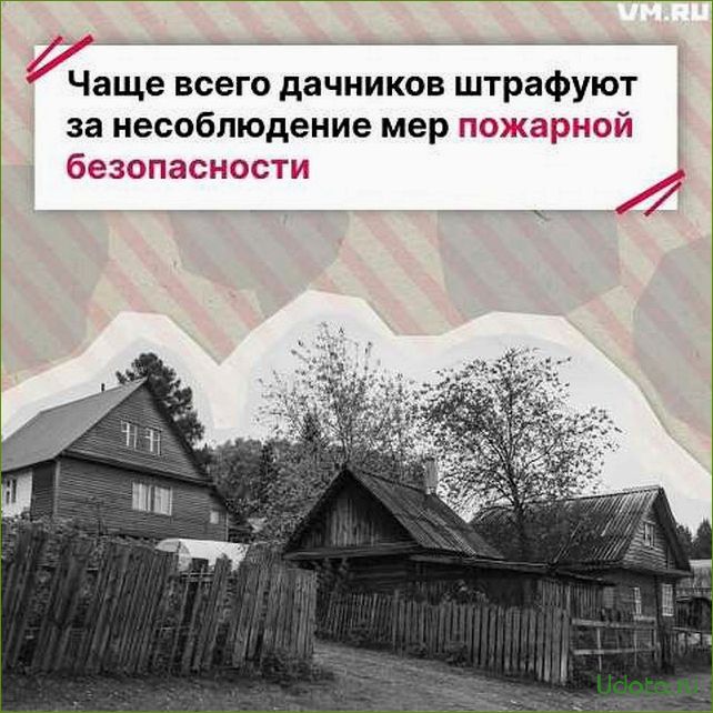 Началось: теплицы дачников облагают штрафами и налогами