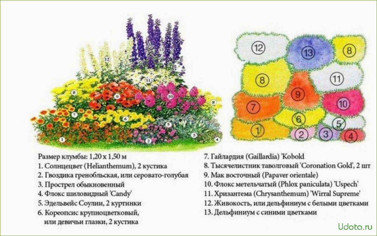 Проект цветника: сухой миксбордер