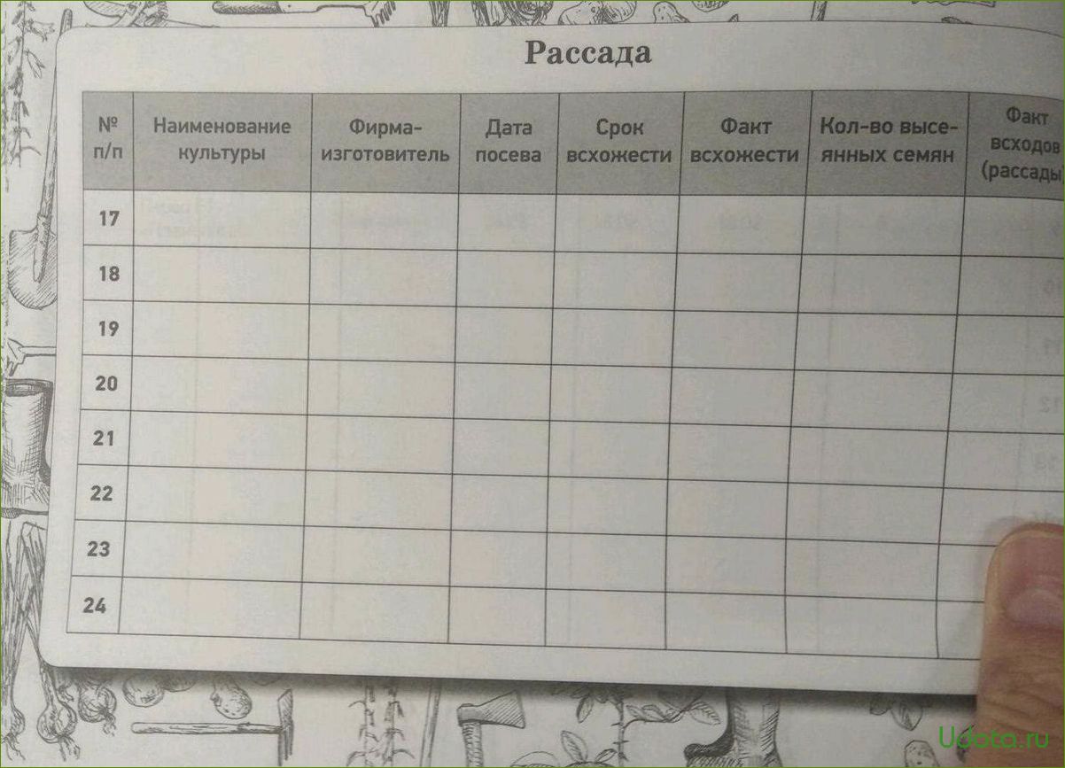 Как правильно вести записи о посевах