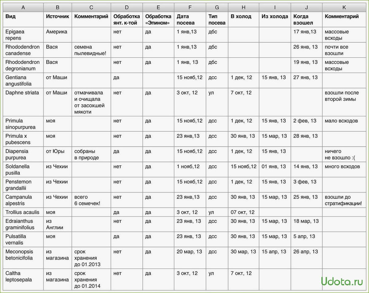 Как правильно вести записи о посевах