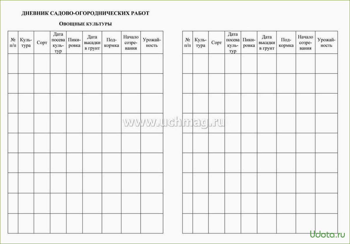 Как правильно вести записи о посевах