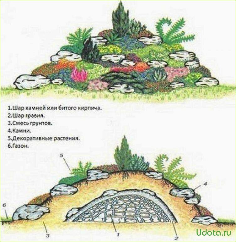 Как создать альпийскую горку с хвойниками: схемы устройства и особенности выбора растений