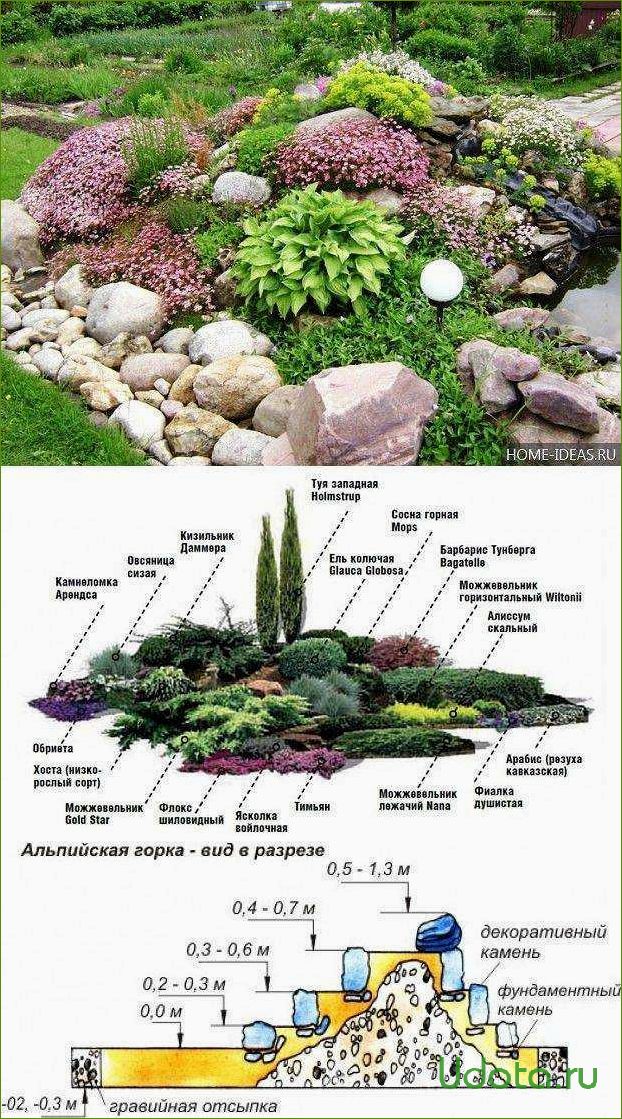 Схема посадки растений на альпийской горке с названиями