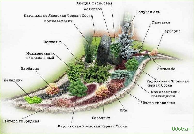 Как создать альпийскую горку с хвойниками: схемы устройства и особенности выбора растений