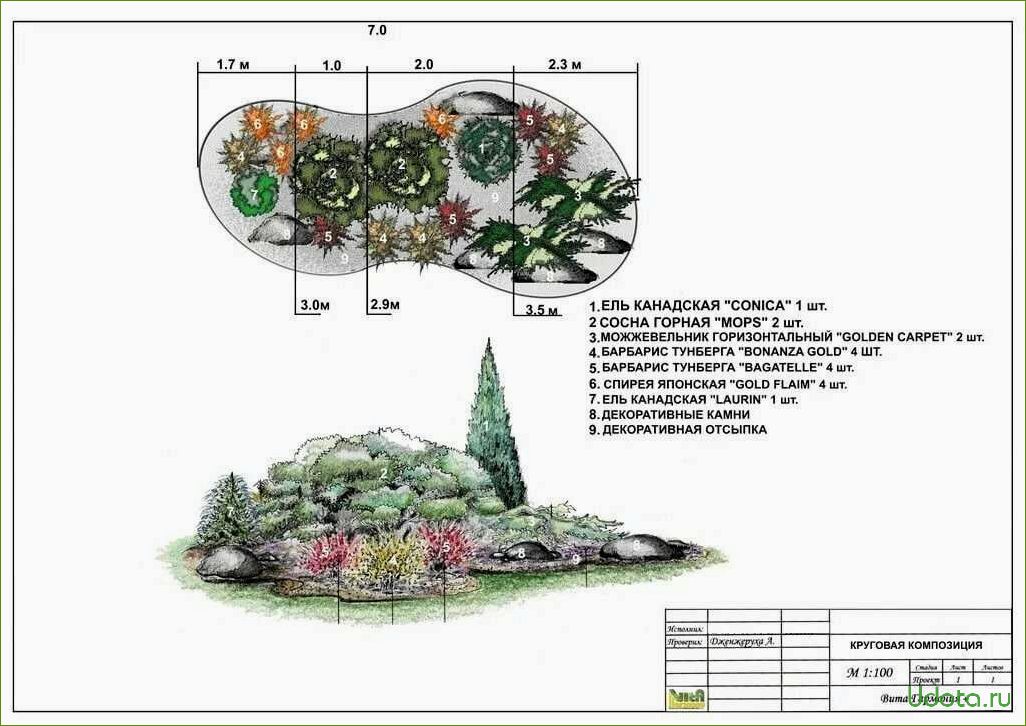 Круглая клумба с хвойниками и многолетниками схема и описание