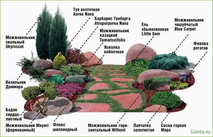 Как создать альпийскую горку с хвойниками: схемы устройства и особенности выбора растений