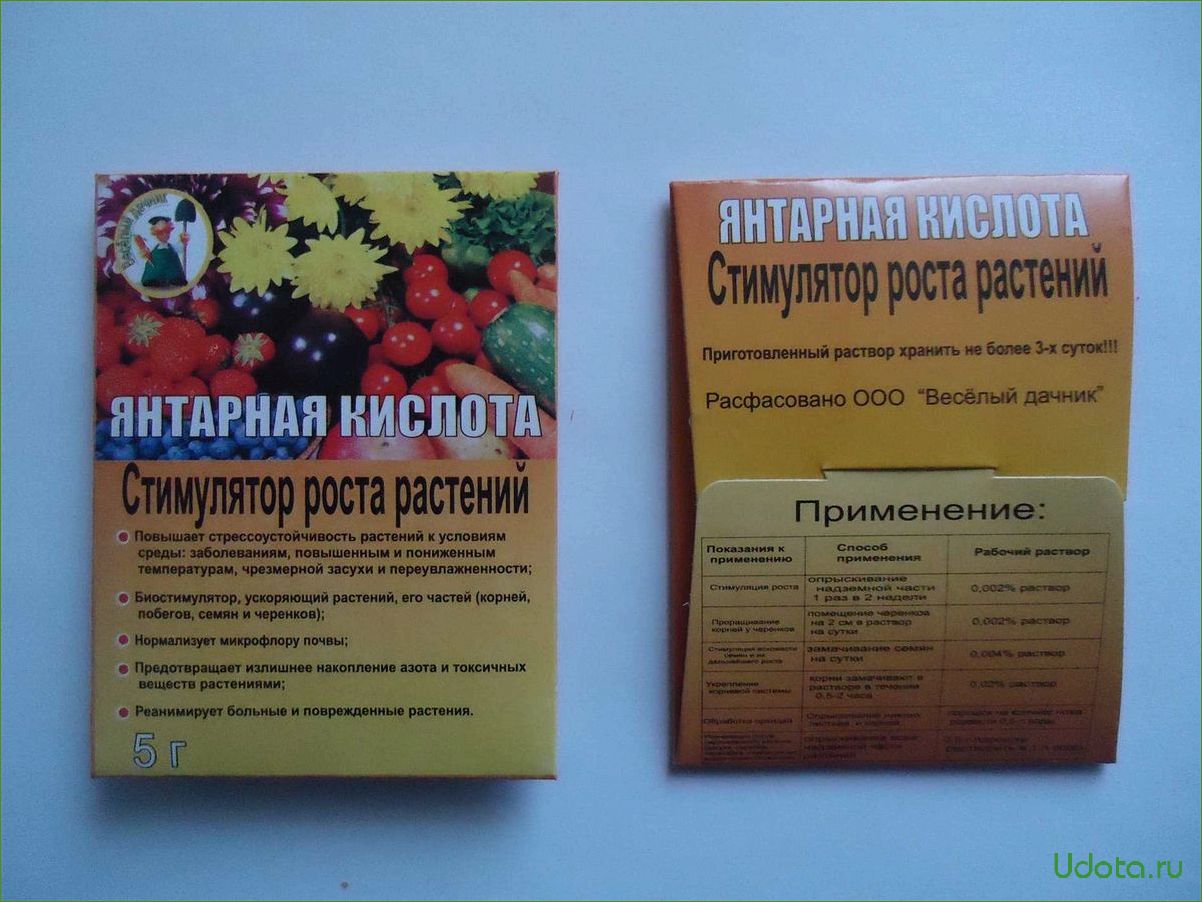 7 причин использовать аспирин в саду: улучшаем урожай баклажанов и помидоров, защищаем растения