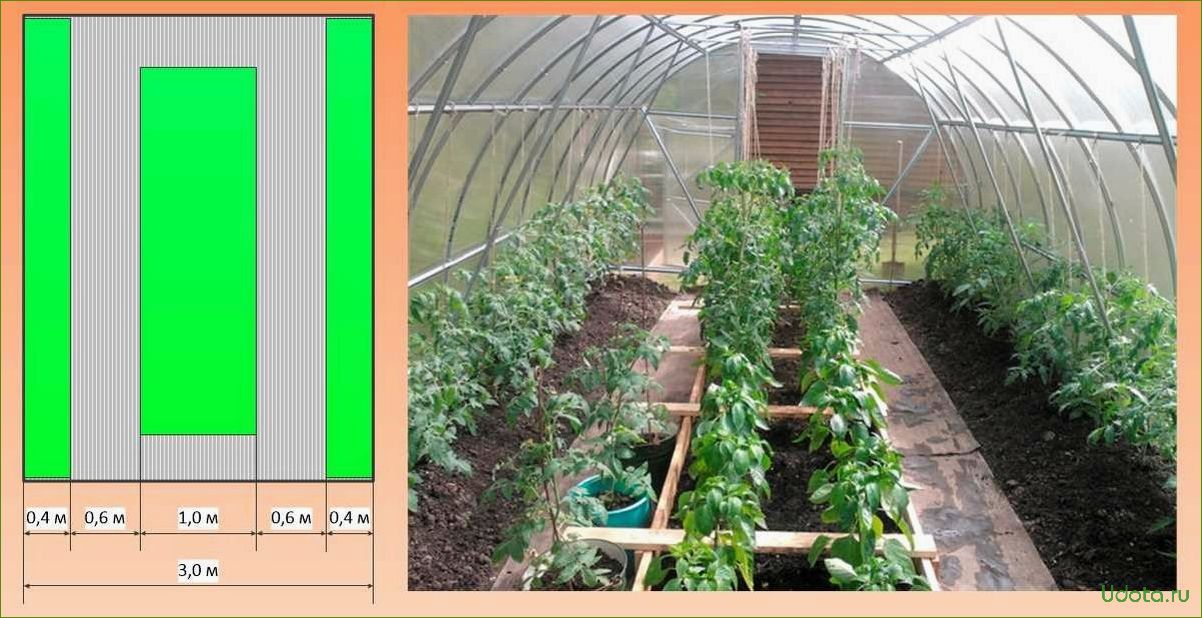 Грядки в теплице: оптимальное количество и ширина грядок