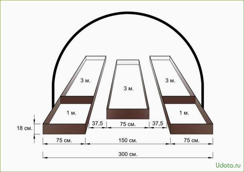 Грядки в теплице: оптимальное количество и ширина грядок