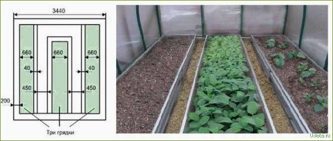 Грядки в теплице: оптимальное количество и ширина грядок
