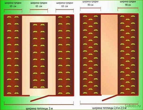 Грядки в теплице: оптимальное количество и ширина грядок