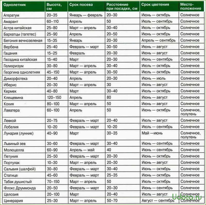 Сроки посадки однолетников на рассаду таблица. Сроки посева цветов на рассаду таблица. Сроки посева семян однолетних растений на рассаду. Сроки высадки семян на рассаду таблица.