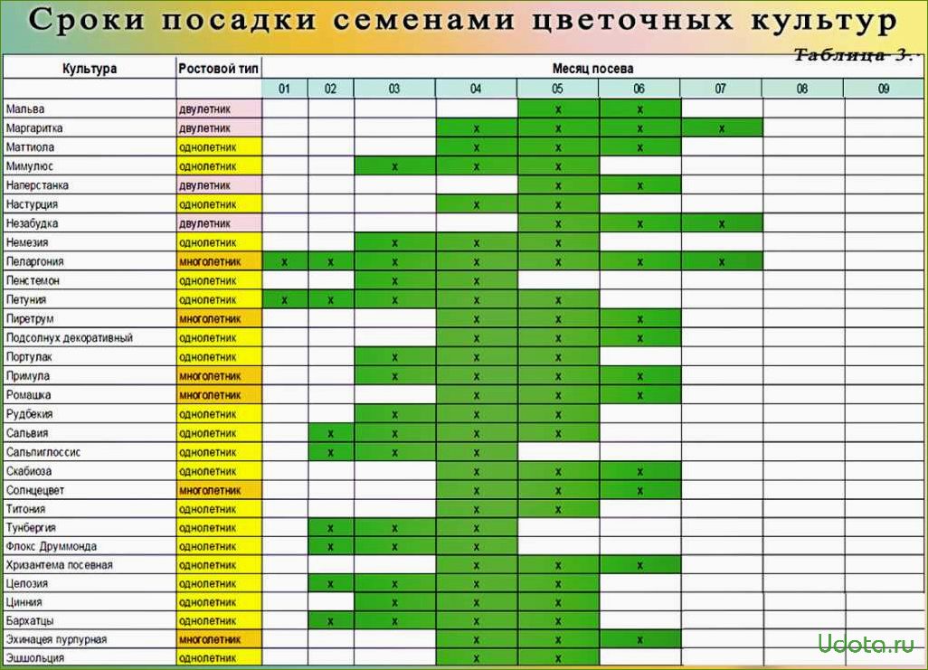 Рассада цветов, которую надо сеять в феврале