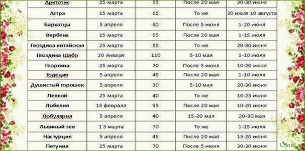 Какие цветы высаживать на рассаду в феврале. Сроки посадки однолетников на рассаду таблица. Посев цветов на рассаду. Посадка цветов на рассаду в феврале. Таблица посадки однолетних цветов на рассаду.