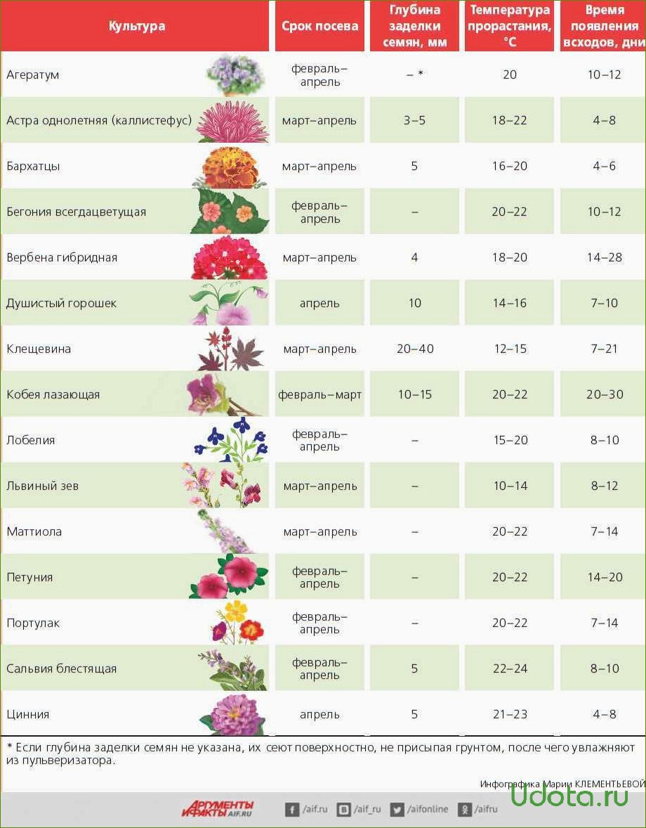 Какие цветы сеют в феврале на рассаду. Сроки посадки однолетников на рассаду таблица. Таблица сроки посева однолетников. Таблица посадки семян цветов на рассаду. Сроки посева семян однолетних растений на рассаду.