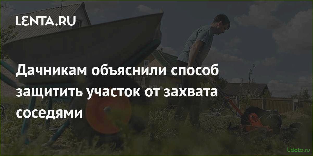 В Кадастровой палате объяснили дачникам, за какие теплицы все же придется заплатить