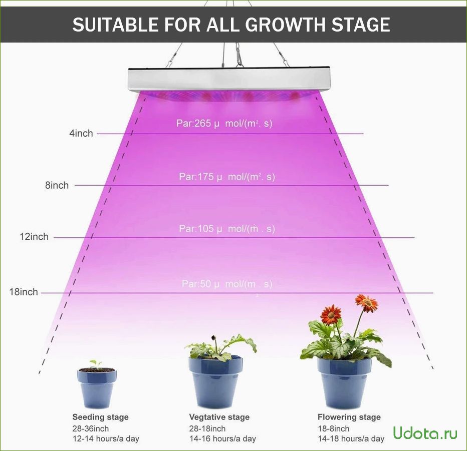 Выбираем умные лампы для досветки рассады и комнатных растений