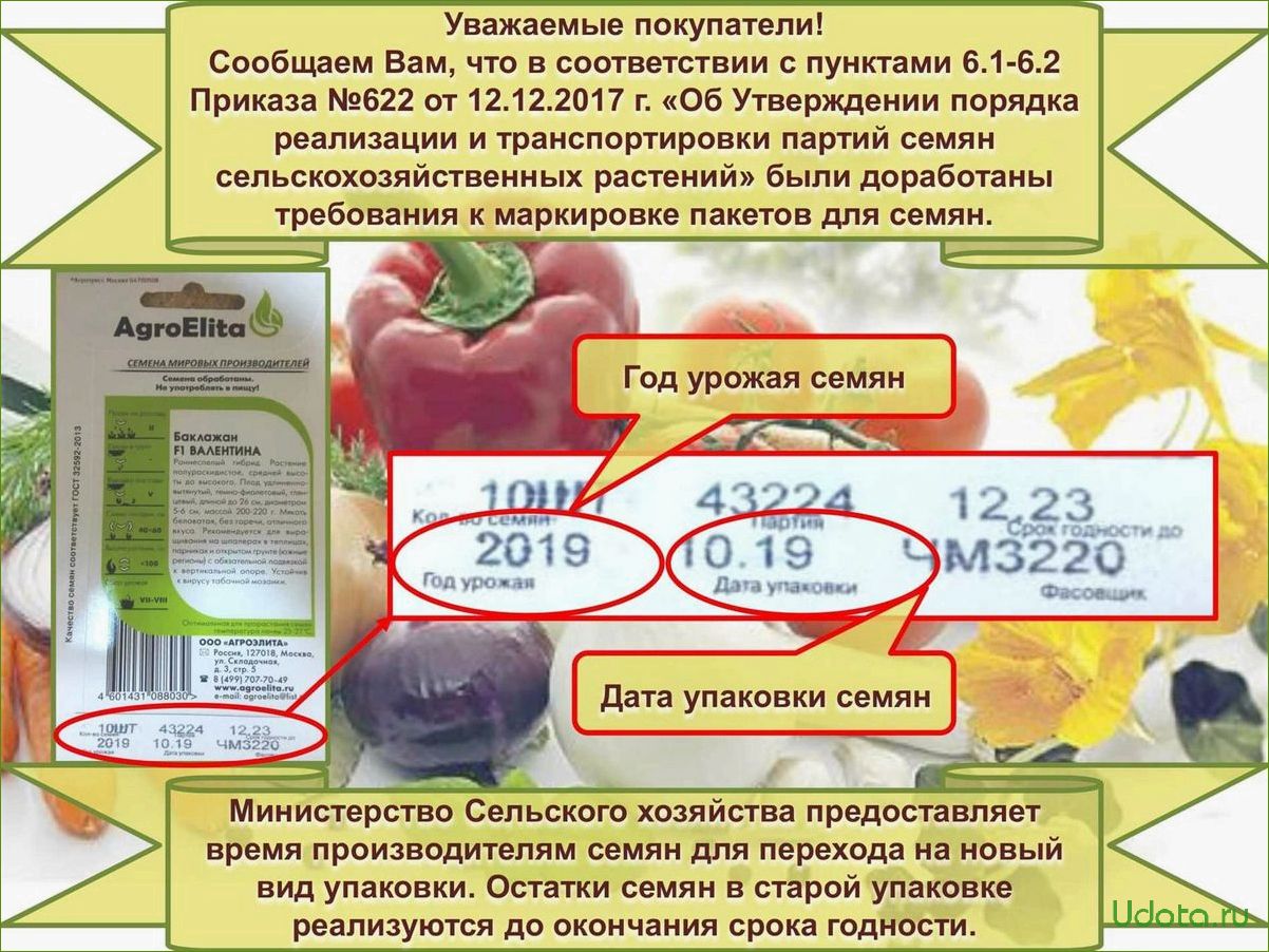 Как купить хорошие семена: где, когда, что должно быть написано на пакетике семян