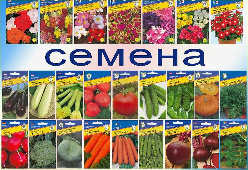 Покупать семена. Семена овощей. Семена овощных культур. Семена в ассортименте. Семена для огорода.