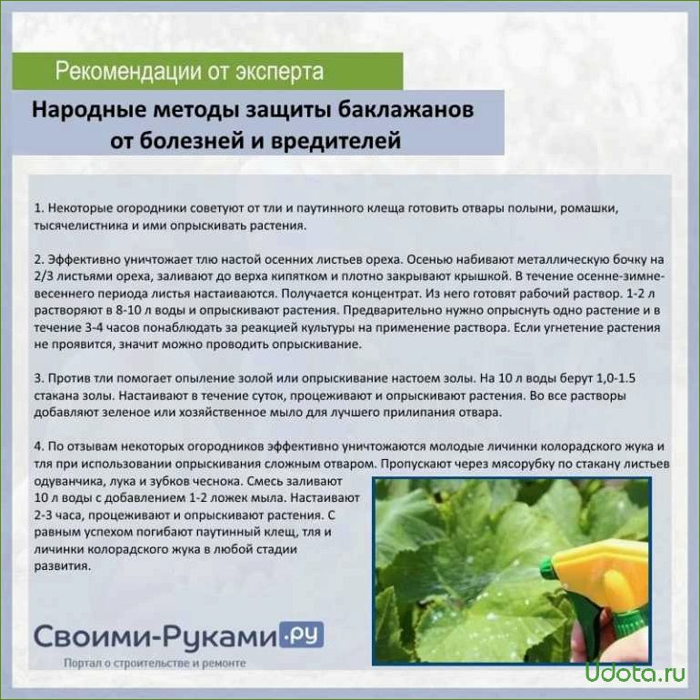 Как спасти урожай капусты от вредителей? Работающие народные средства!