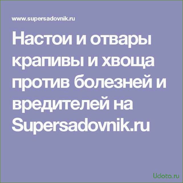 Настои и отвары крапивы и хвоща против болезней и вредителей