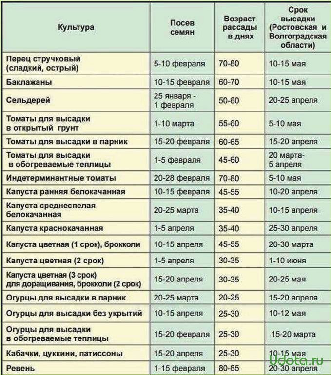 Сроки посева семян на рассаду