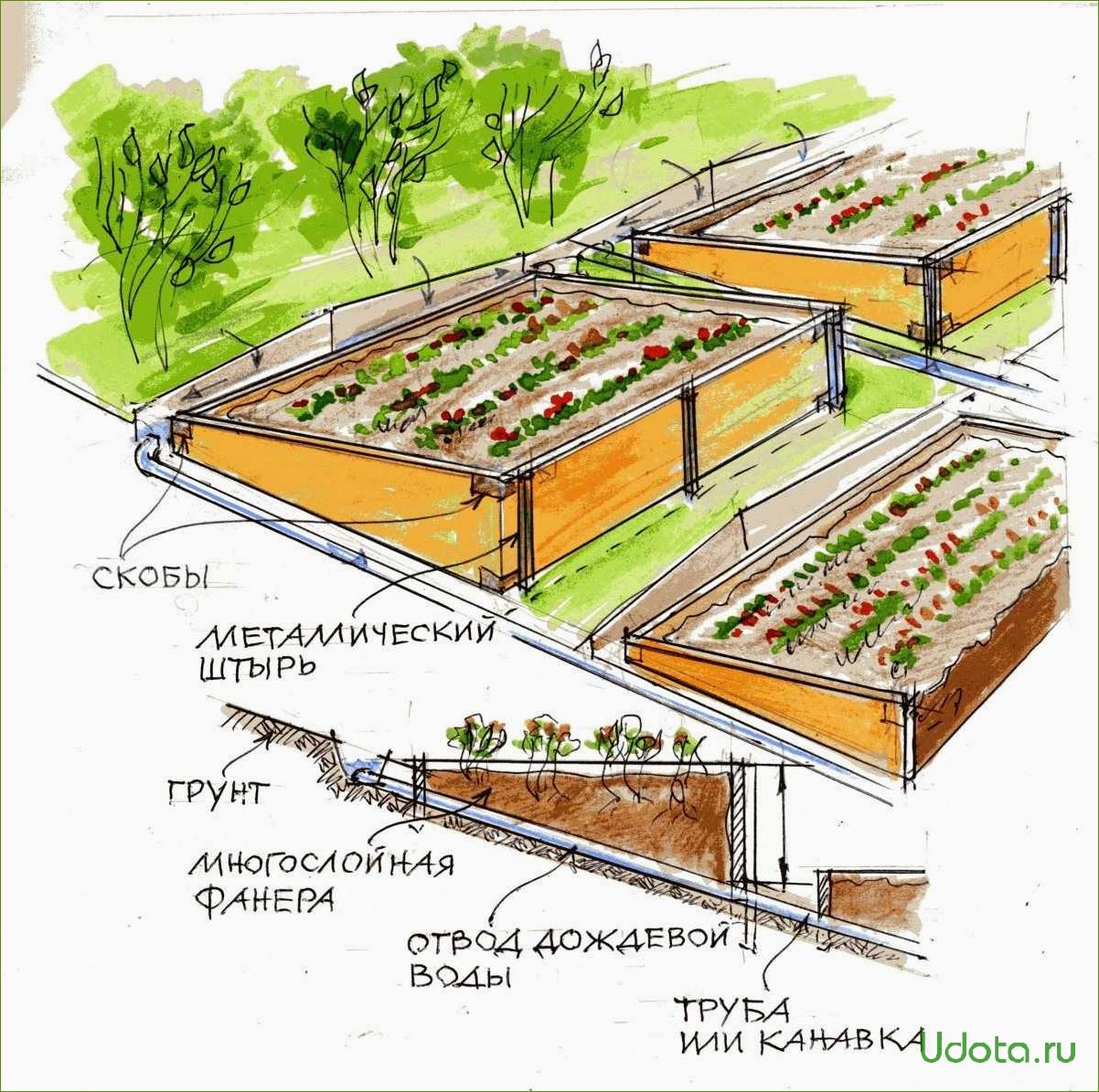 Длина огорода. Террасирование участка грядками. Террасирование склона схема. Грядки на склоне. Террасные грядки.