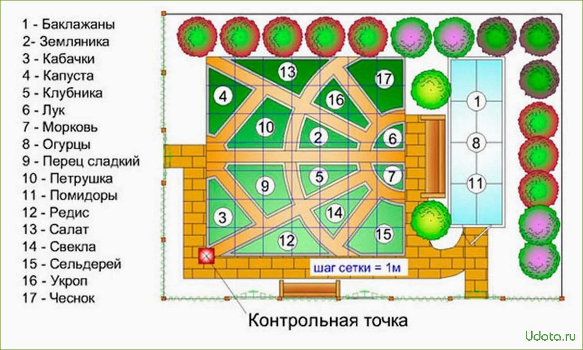 План грядок на огороде схема