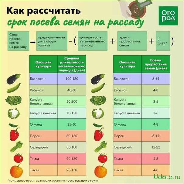 Выбор сортов и гибридов семян томатов, перцев и баклажанов для посева на рассаду: полезные советы