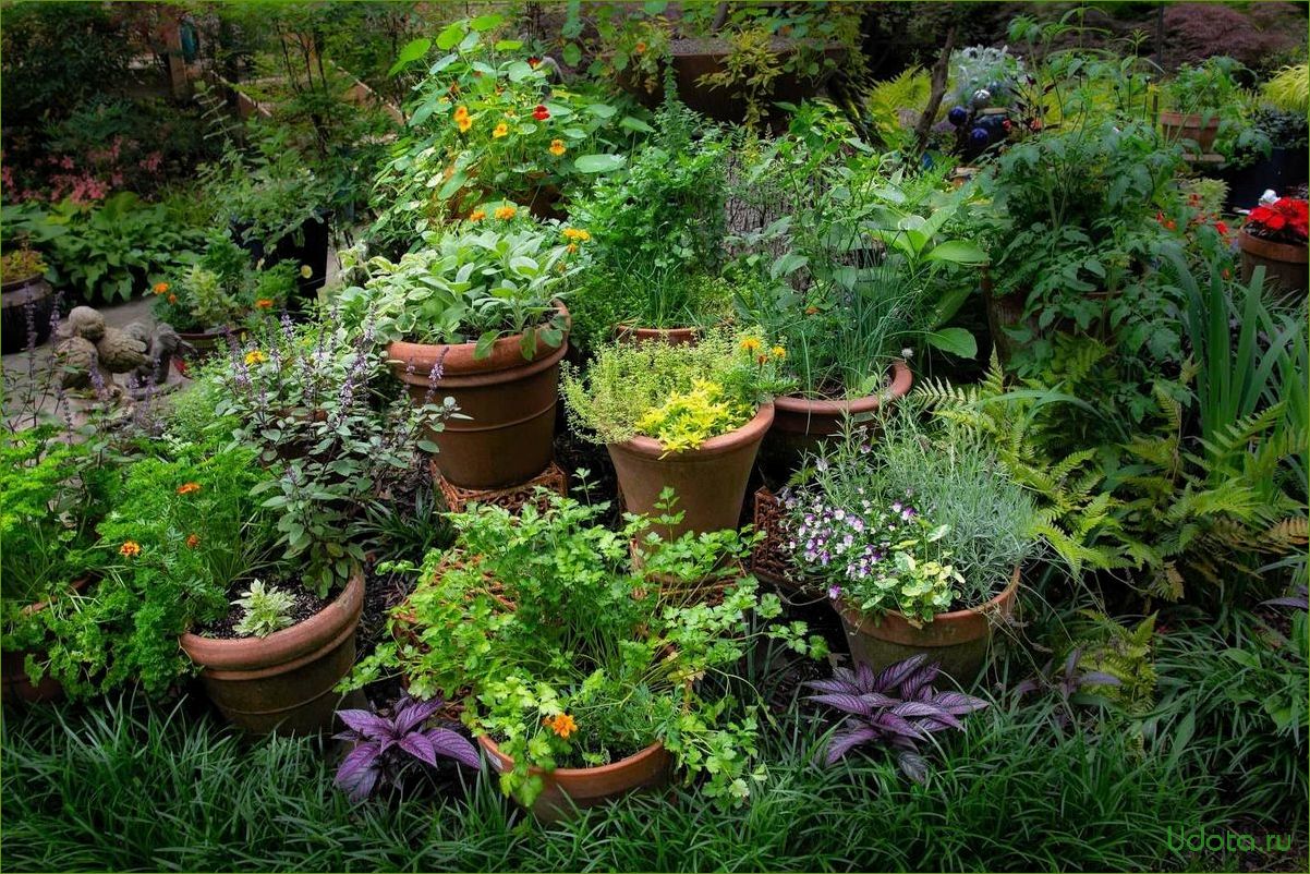 The Herb Garden