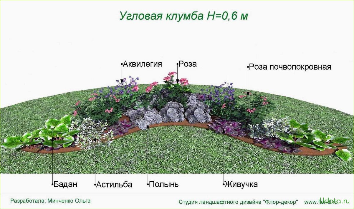 35 низкорослых летников для посадки около дорожки, в рокарии и по краю миксбордера