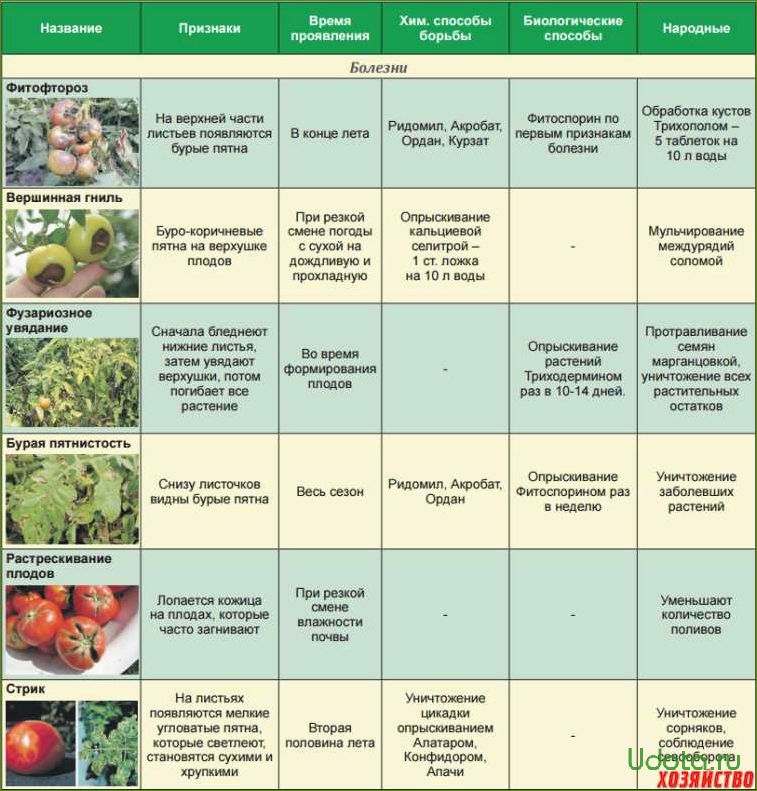 Болезни и вредители томатов: профилактика и лечение