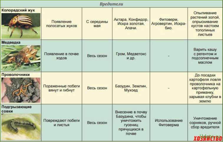 Болезни и вредители томатов: профилактика и лечение