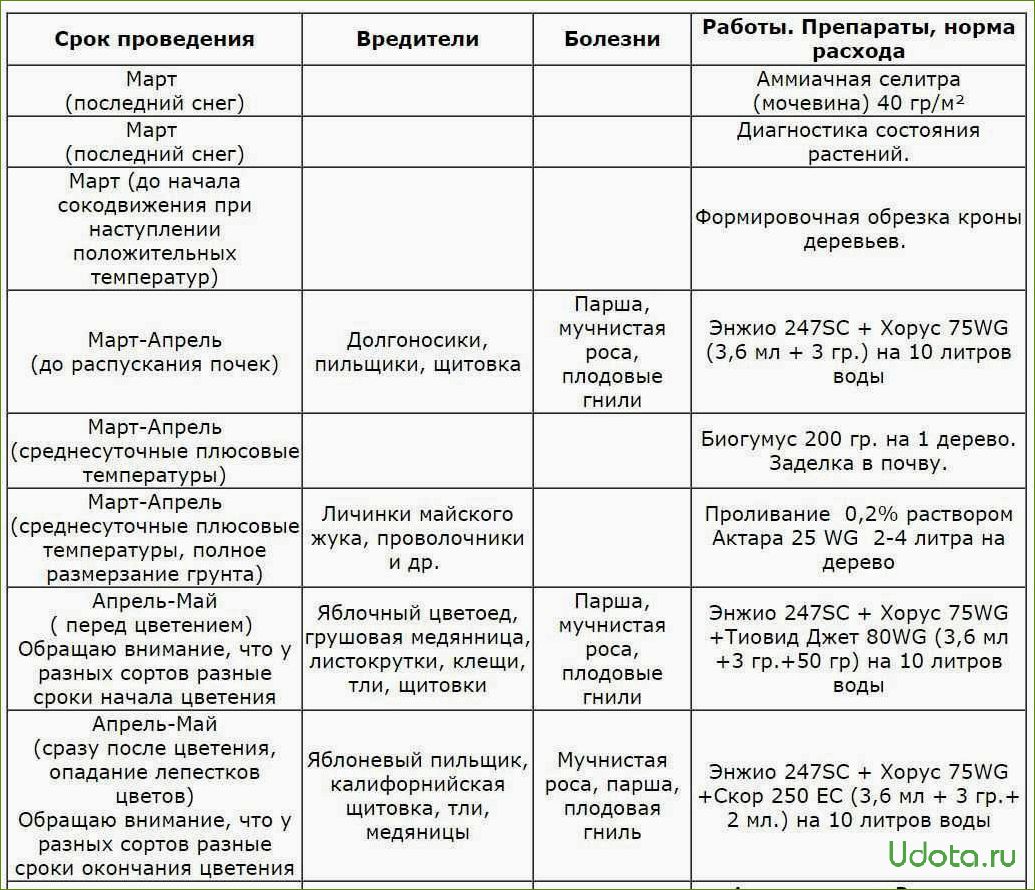 Список препаратов для обработки от болезней и вредителей в августе