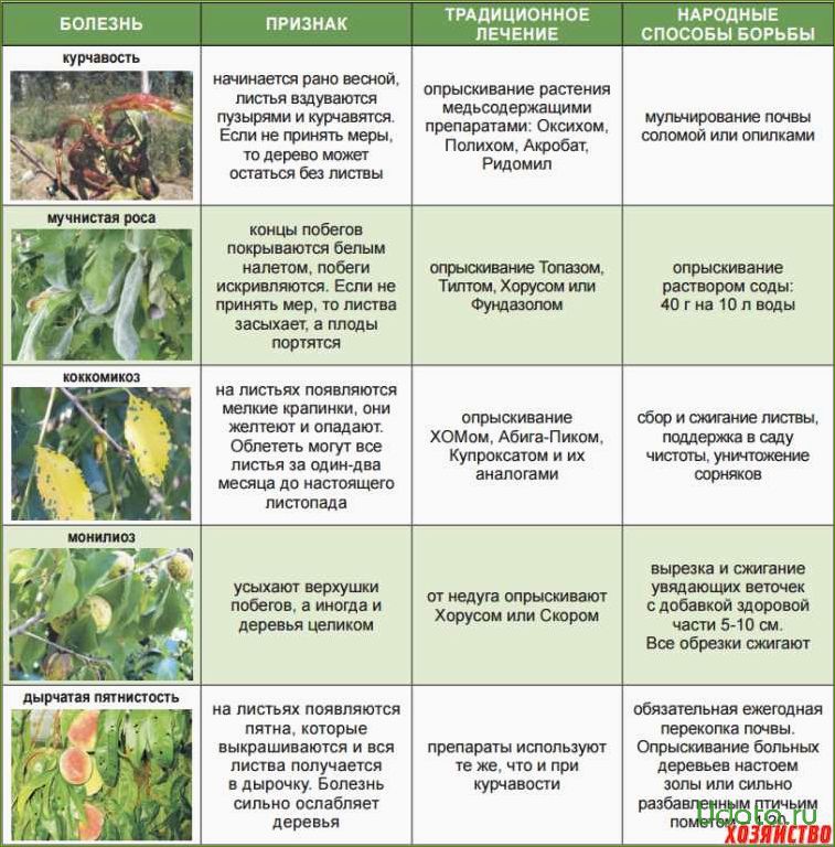 В каком месяце весной опрыскивать деревья. Вредители и болезни сада. Препараты от болезней плодовых деревьев. Обработка деревьев от вредителей и болезней. Вредители плодовых деревьев описание с фотографиями.