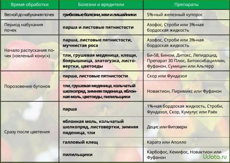 Список препаратов для обработки от болезней и вредителей в августе