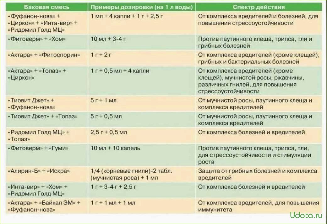 Схема обработки винограда от болезней и вредителей препаратами