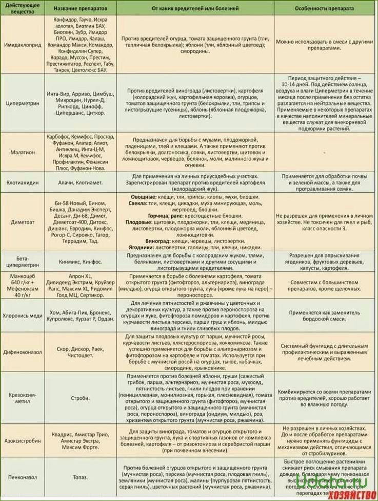 Список препаратов для обработки от болезней и вредителей в августе