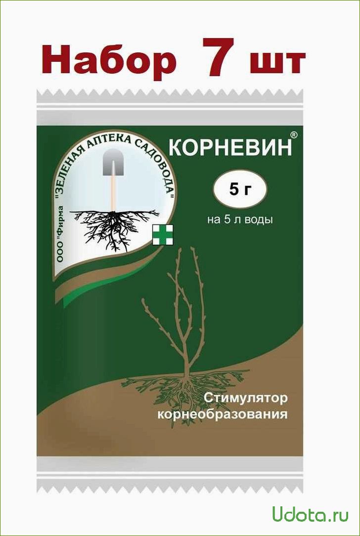 Стимуляторы и регуляторы роста для предпосевной обработки семян: не только корневин