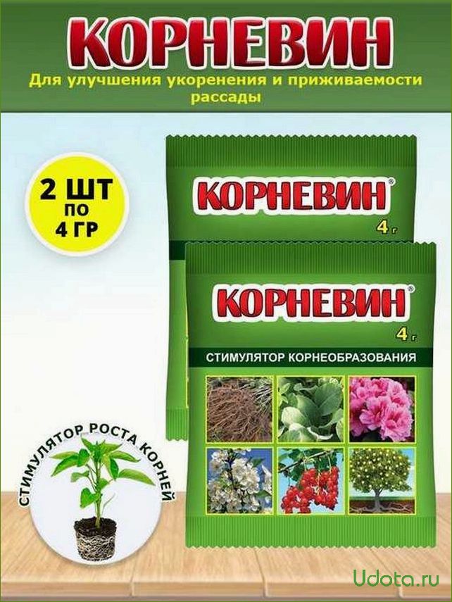 Стимуляторы и регуляторы роста для предпосевной обработки семян: не только корневин