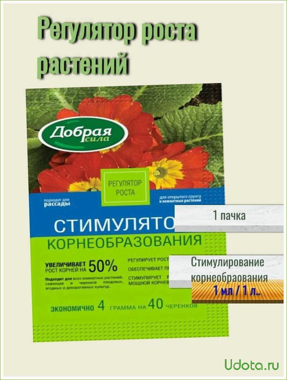 Стимуляторы и регуляторы роста для предпосевной обработки семян: не только корневин