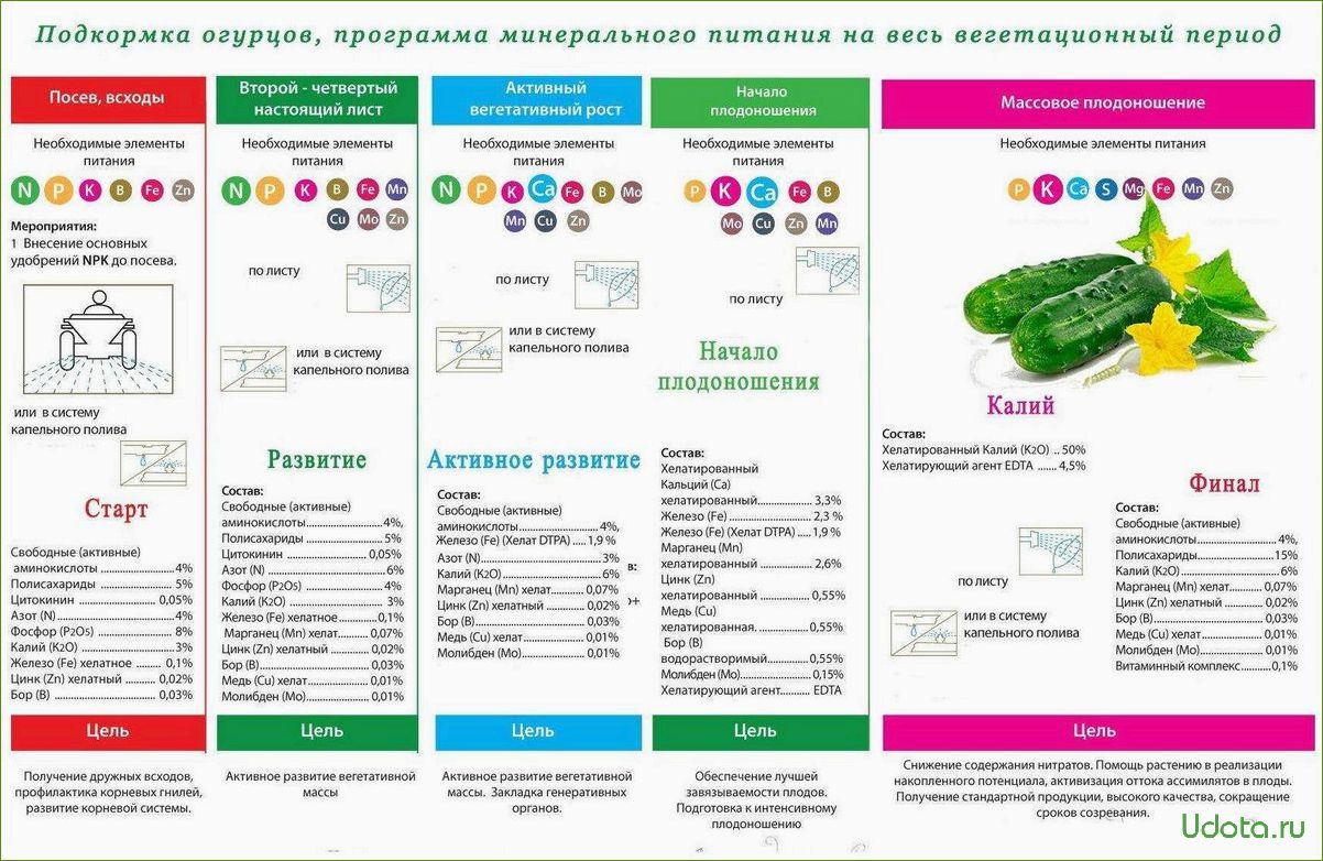 Схема подкормки рассады