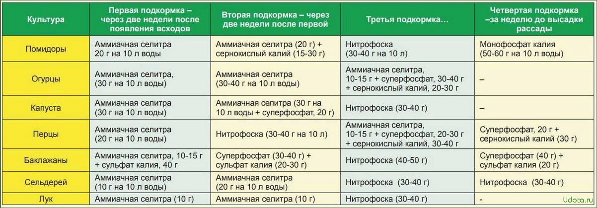 Удобрения и подкормки рассады: выбор, состав, способы применения