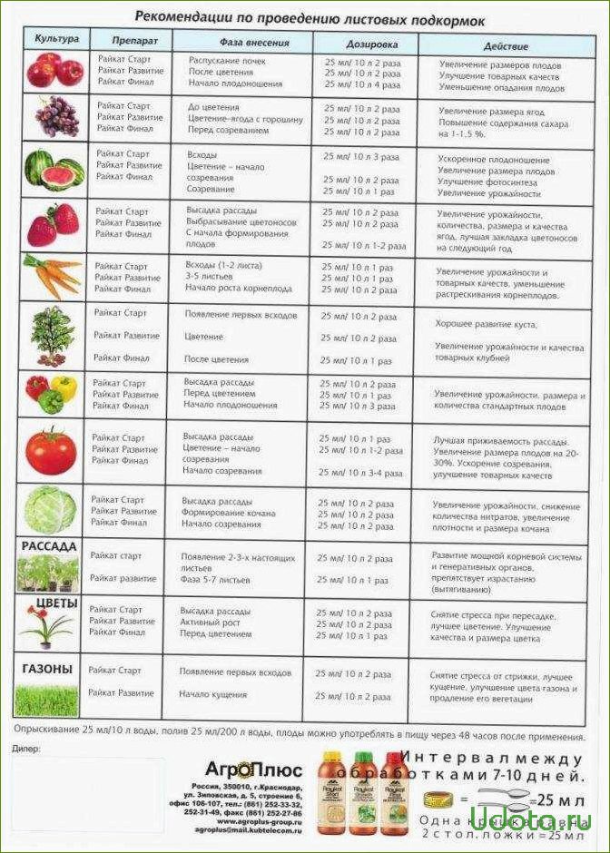 Схема подкормки земляники садовой