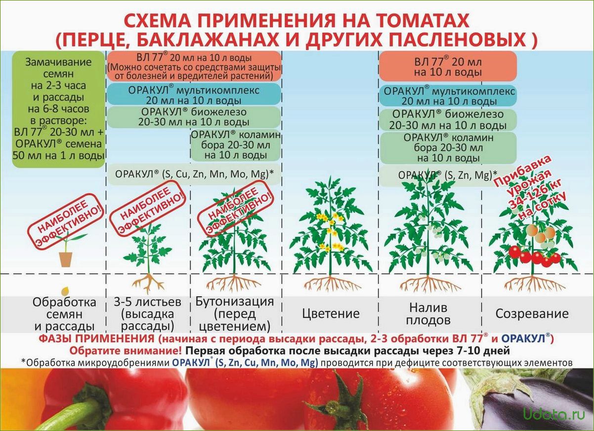 Удобрения и подкормки рассады: выбор, состав, способы применения