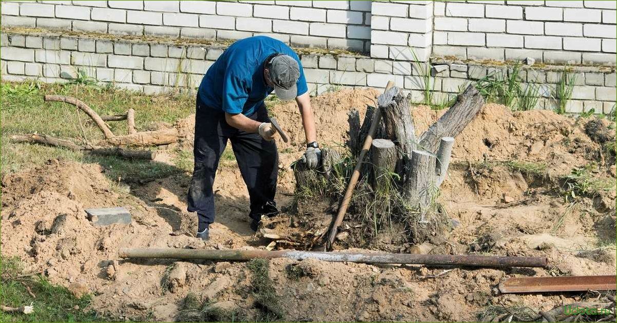 Как удалить поросль и старые пни