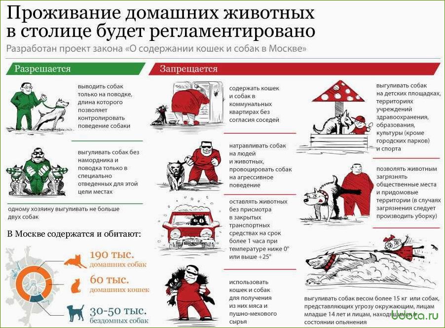 В регионах ввели новые штрафы за прогулку с собакой