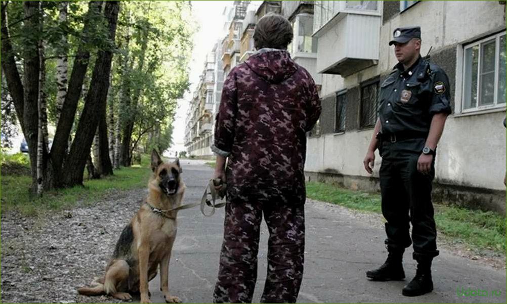 В регионах ввели новые штрафы за прогулку с собакой